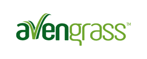 Avengrass